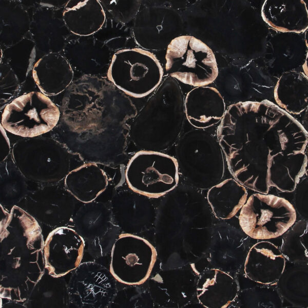 Black Petrified Wood Normal