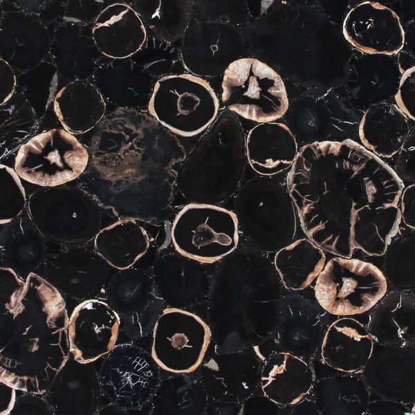 Black Petrified Wood Normal
