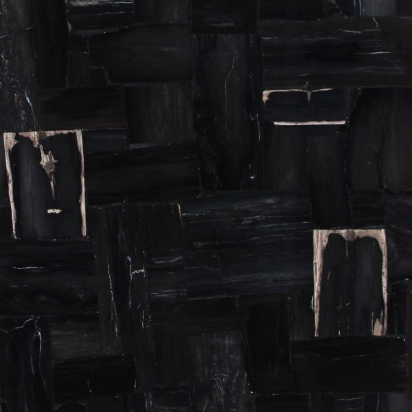 Black Petrified Wood Retro 3cm