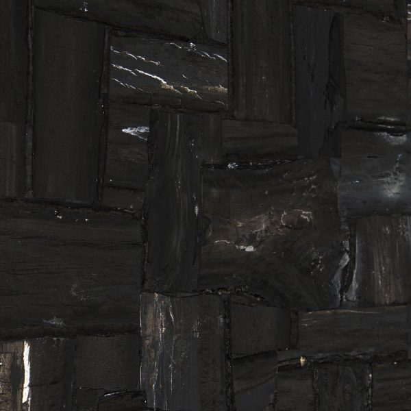 Nero Petrified Wood Retro